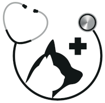 Medicina interna