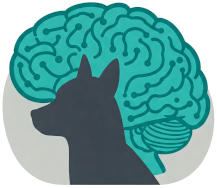Neurologia